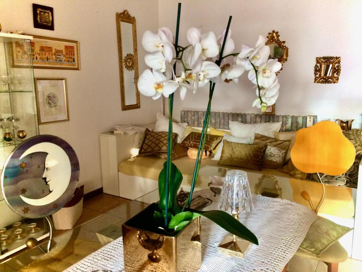 Da Coco E Mini,L'Angolo Per Ceramiste In Viaggio - Faenza Εξωτερικό φωτογραφία